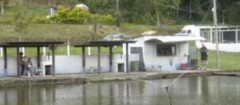 pesqueiros-no-mandaqui-1438476632