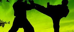 tae-kwon-do-no-mandaqui-1438546445